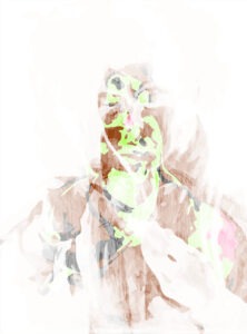 1/(FBacon)-n+2 | 07-11-2019.1, 89,6 x 120 cm, impression numérique sur papier