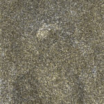 1/(ORedon)n+4, 09-03-2020.4, 40,56 x 45 cm, impression numérique sur papier