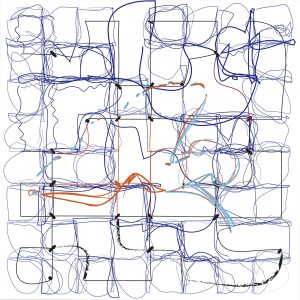 (1/2xEKelly), 25-02-20011, 120 x 120 cm, impression numérique sur papier