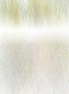 f(CMonet)+1/41%, 24-05-2017.2, 120 x 150 cm, impression numérique sur papier