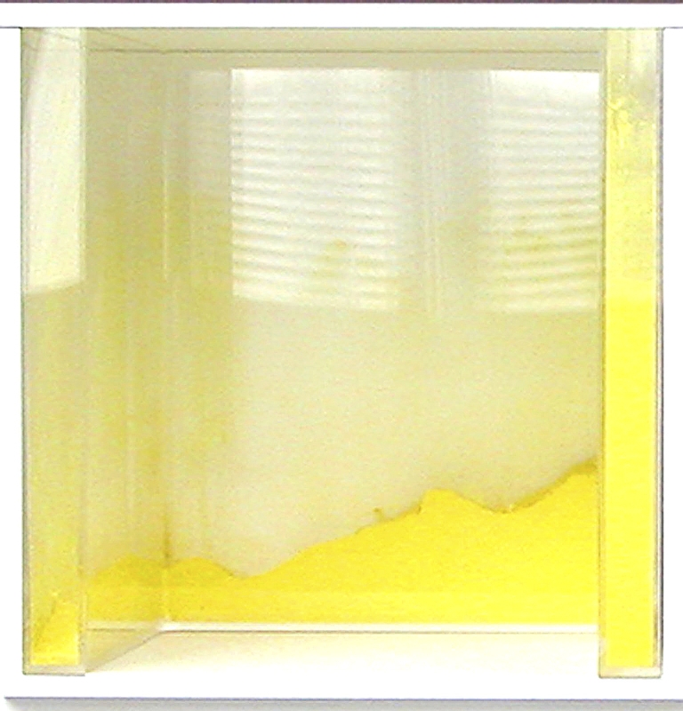 Comment ça s’annonce-I | 2004, dimensions variables, bois, plexiglas, pigments