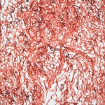 (1/CSoutine)-(100%)2 | 07-06-2024, 50 x 70 cm, aquarelle sur papier