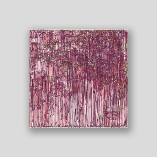 14-01-2015 1.2 C. Monet + C. Monet, 100 x 100 cm