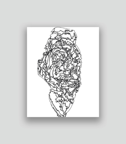 Autoportrait au second degré 70 19-12-2017 5.0 50 x 40 cm